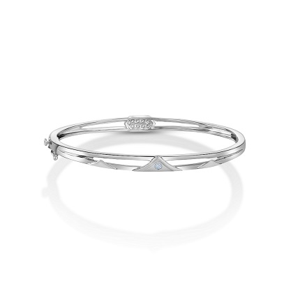 Platinum Jewellery by Platinum EVARA